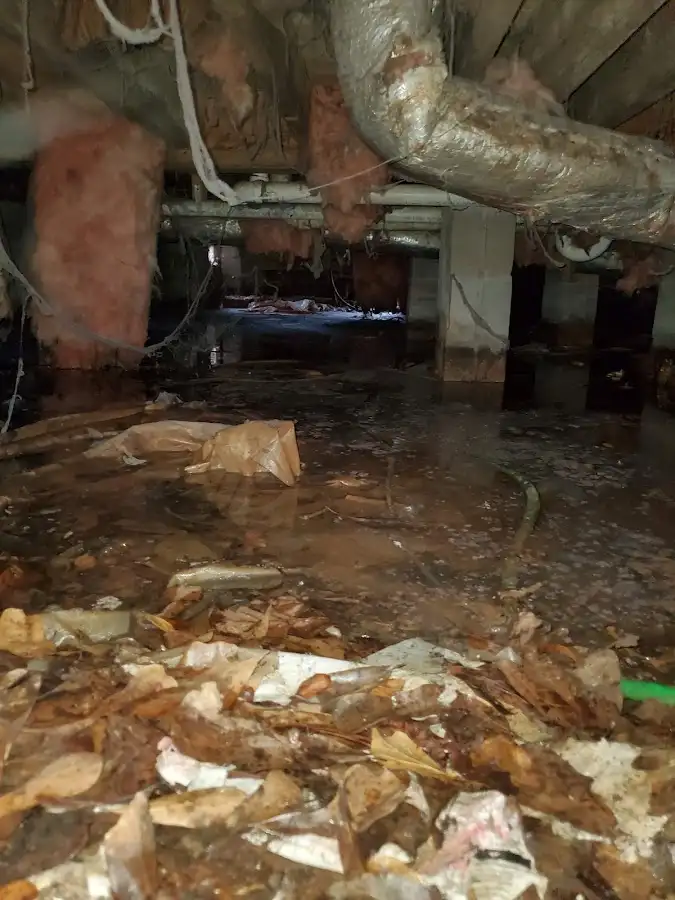 Crawl space flood assessment for Leak Detection & Repair in Hallandale Beach